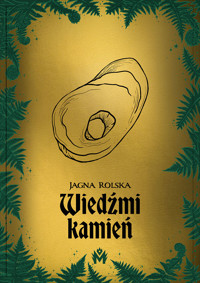 Wiedźmi kamień - Jagna Rolska - ebook + audiobook