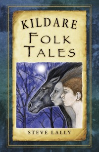 Kildare Folk Tales - Steve Lally - ebook