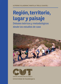 Región, territorio y paisaje - Andrés Antonio Fábregas Puig - ebook