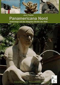 Panamericana Nord - Jens Freyler - ebook