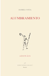 Alumbramiento - Daniel Cotta Lobato - ebook
