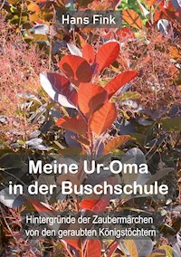 Meine Ur-Oma in der Buschschule - Hans Fink - ebook