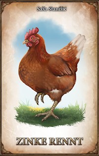 DSA: Zinke Rennt - Saša Stanišić - ebook