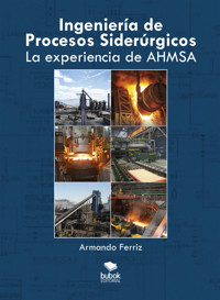 Ingeniería de procesos siderúrgicos - Armando Ferriz - ebook