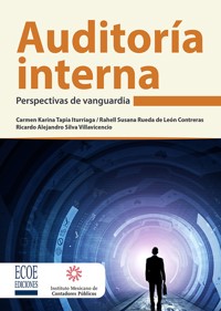 Auditoría interna - Ricardo Alejandro Silva Villavicencio - ebook