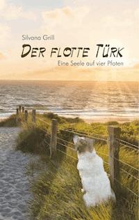 Der flotte Türk - Silvana Grill - ebook