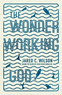 The Wonder-Working God - Jared C. Wilson - ebook