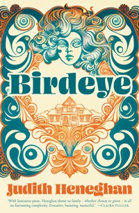 Birdeye - Judith Heneghan - ebook