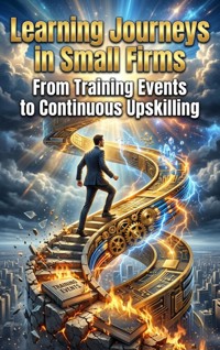 Learning Journeys in Small Firms - Maya Colton - ebook