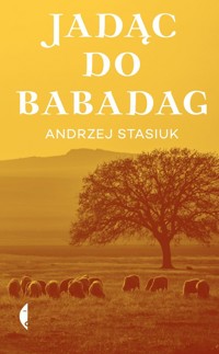 Jadąc do Babadag - Andrzej Stasiuk - ebook + audiobook + książka