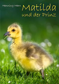Matilda und der Prinz - Henning Marx - ebook