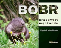 Bóbr pracowity mąciwoda - Misiukiewicz Wojciech  - książka