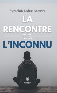 La rencontre de l’inconnu - Synteluh Esdras Mouwa - ebook