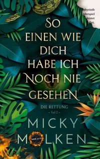 So einen wie dich habe ich noch nie gesehen - Micky Molken - ebook