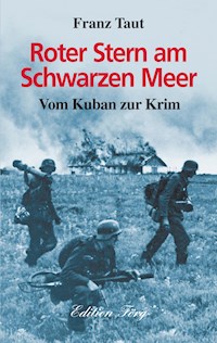 Roter Stern am Schwarzen Meer - Franz Taut - ebook