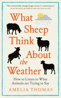 What Sheep Think About the Weather - Amelia Thomas - ebook
