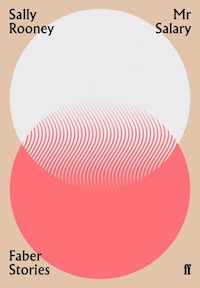 Mr Salary - Sally Rooney - książka