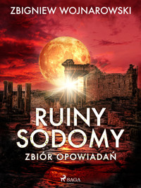 Ruiny Sodomy - zbiór opowiadań - Wojnarowski Zbigniew - ebook