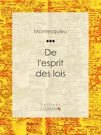 De l'esprit des lois - Ligaran - ebook