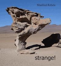 strange! - Manfred Rebele - ebook
