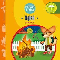 Przygody Fenka. Ogień - Magdalena Gruca - audiobook