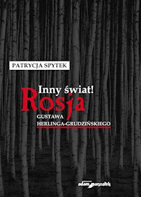 Inny świat! - Spytek Patrycja - książka