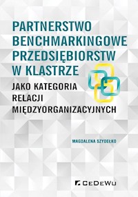 Partnerstwo benchmarkingowe przedsiębiorstw w klastrze - Szydełko Magdalena - książka