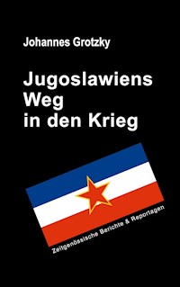 Jugoslawiens Weg in den Krieg - Johannes Grotzky - ebook