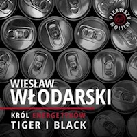 Pierwszy milion, odcinek 5. Jak zaczynali: Wiesław Włodarski, Mariusz Świtalski oraz twórcy 11 Bit Studios - Kinga Kosecka,   Maciej Rajewski - audiobook
