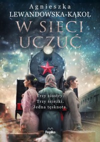 W sieci uczuć - Agnieszka Lewandowska-Kąkol - książka