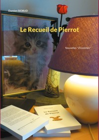 Le Recueil de Pierrot - Damien Siobud - ebook