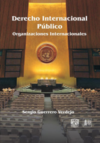 Derecho Internacional Público: Organizaciones internacionales - Sergio Guerrero Verdejo - ebook