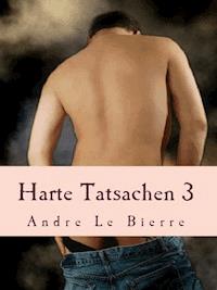 Harte Tatsachen 3 - Andre Le Bierre - ebook