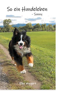 So ein Hundeleben - Elke Wiggert - ebook