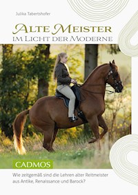 Alte Meister im Licht der Moderne - Julika Tabertshofer - ebook