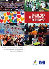 Pleins feux sur le travail de jeunesse - Nik Paddison - ebook