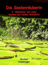Die Seelenräuberin - Michael Hamberger - ebook