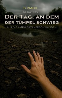 Sie sind weg - K. Ziack - ebook