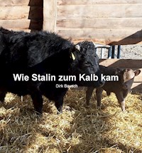 Wie Stalin zum Kalb kam - Dirk Bausch - ebook