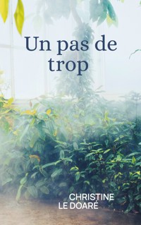 Un pas de trop - Christine Le Doaré - ebook