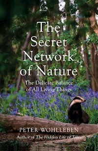 Secret Network of Nature - Peter Wohlleben - książka