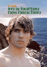 Im Schatten des Drachen - Anett Leunig - ebook