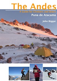 Puna de Atacama - Biggar John - ebook