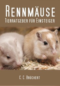 Tierratgeber für Einsteiger - Rennmäuse - C. C. Brüchert - ebook