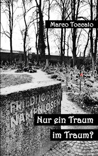 Nur ein Traum im Traum? - Marco Toccato - ebook
