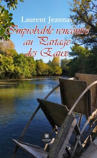 Improbable rencontre au Partage des Eaux - Laurent Jeannas - ebook