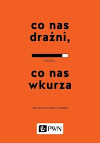 Co nas drażni, co nas wkurza - Palca Joe, Lichtman Flora - książka
