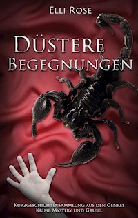 Düstere Begegnungen - Elli Rose - ebook