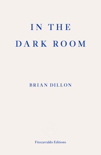 In The Dark Room - Brian Dillon - ebook