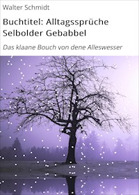Buchtitel: Alltagssprüche Selbolder Gebabbel - Walter Schmidt - ebook